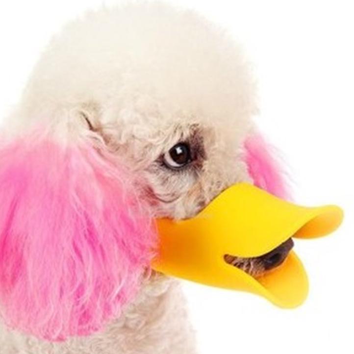 duck mouth muzzle