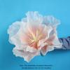 Giant Gauze Large Flower Head 30/40/50cm Fake Flowers New Yarn Flower  Outdoor