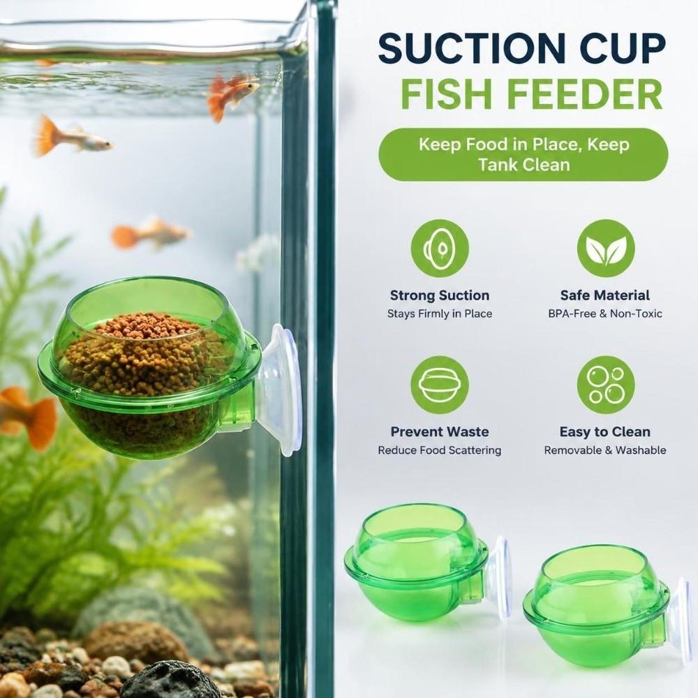 2pcs Round Reptile Feeding Bowl Green Chameleon Feeder Dish Durable Suction Cup Feeder Chameleon