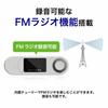 Green House MP3 Player 8GB Battery Operated Voice Recorder No Charging Required Radio Recordable Music Black GH-KANADBT8-BK