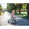 Tricycle évolutif enfant smoby balade plus - structure métal - bleu