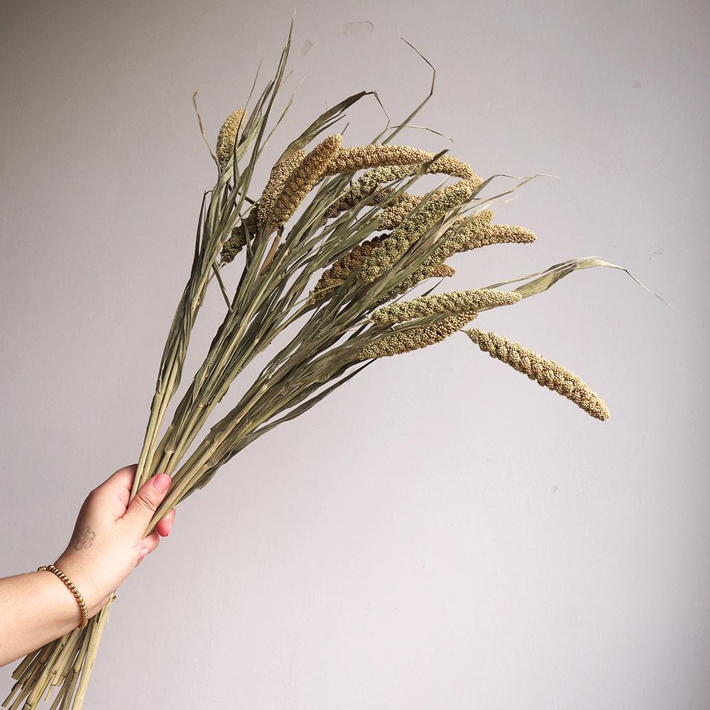 Wabi-sabi Dried Flower Arrangement: Reed, Pine Cones, Cotton, Wheat, Poppy Bouquet