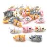 30Pcs Decorative Push Pins Cork Board Tacks Bulletin Board Thumb Tack Decoration for Home Office Photo Walls Map Boards