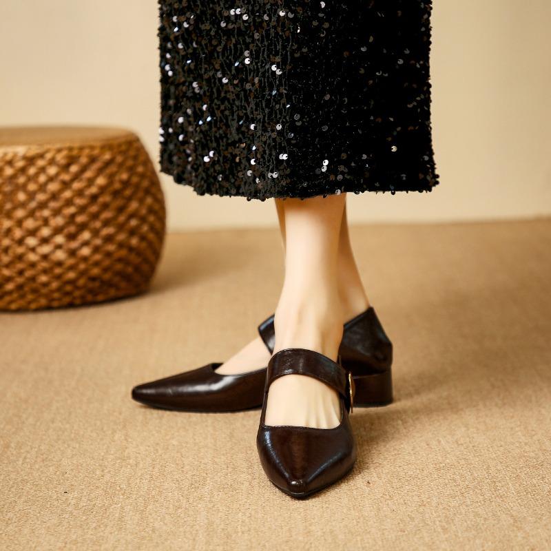Women's Coarse Heel Shoes Autumn New Pointed Head Shallow Mouth Metal Buckle Anti-slip Wear-resistant Low-top Shoes