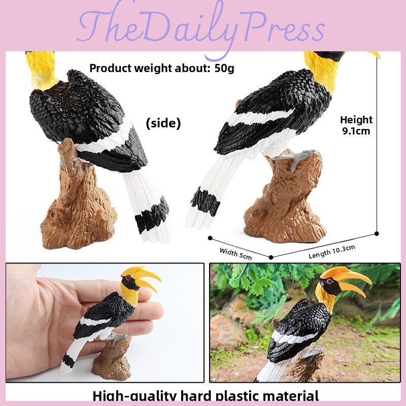 Animal Wildlife Model Solid Plastic Parrot And Hornbill Figures For Kids Gift