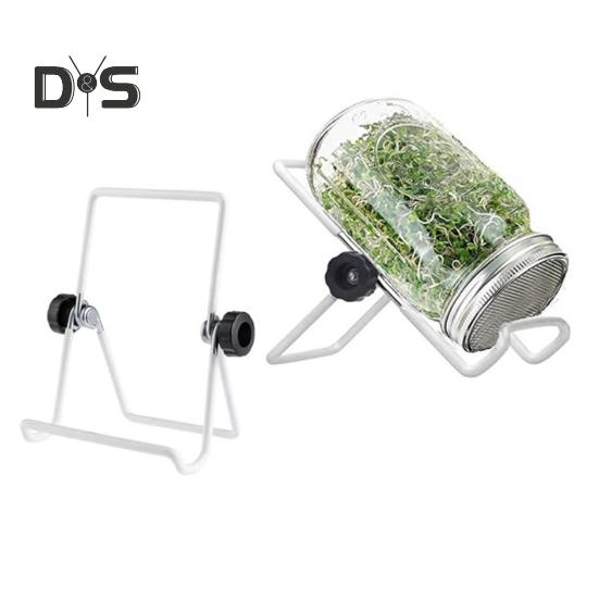 Angepasster Glashalter, regalstabil, praktisches Germinator-Aufbewahrungsregal