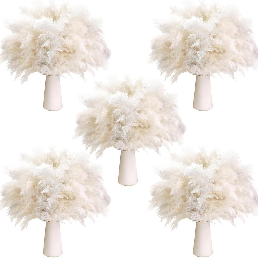 Reed Box Pampas Grass Dried Flower Decoration