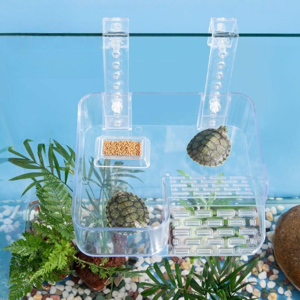 Transparent Tortoise Climbing Basking Platform Aquatic Turtles Terrace