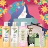 Chando Body Care Gift Set B