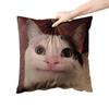 Aertemisi 18'' X 18'' Beluga Cat Funny Meme Square Throw Pillow Cushion Covers Cases Pillowcases 45Cm X 45Cm