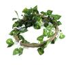 Reptil Klättergren Flexibel Djungel 3.28ft Rattan 1st Vinstock(3.28ft Rattan+Scindapsusblad)