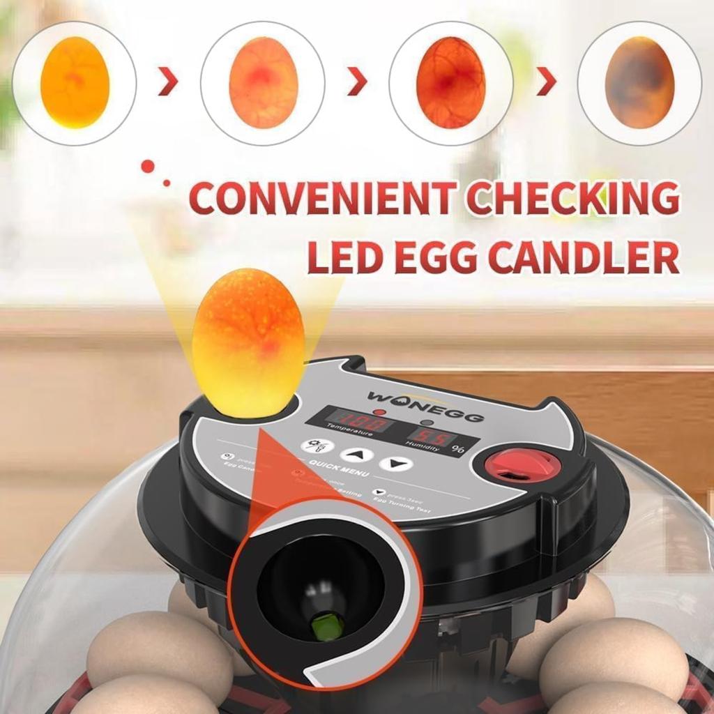 Explore+ 12 Egg Incubator for Beginners, Multi-Level Adaptive Humidity (Auto-Refill & Dual-Bottle) & Stable Temp Control, Auto Egg Turning, Real-Time