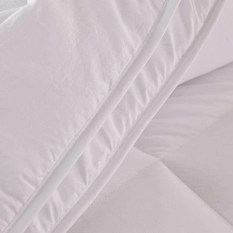 Mengjie Soft & Bouncy All-Season Fiber Quilt