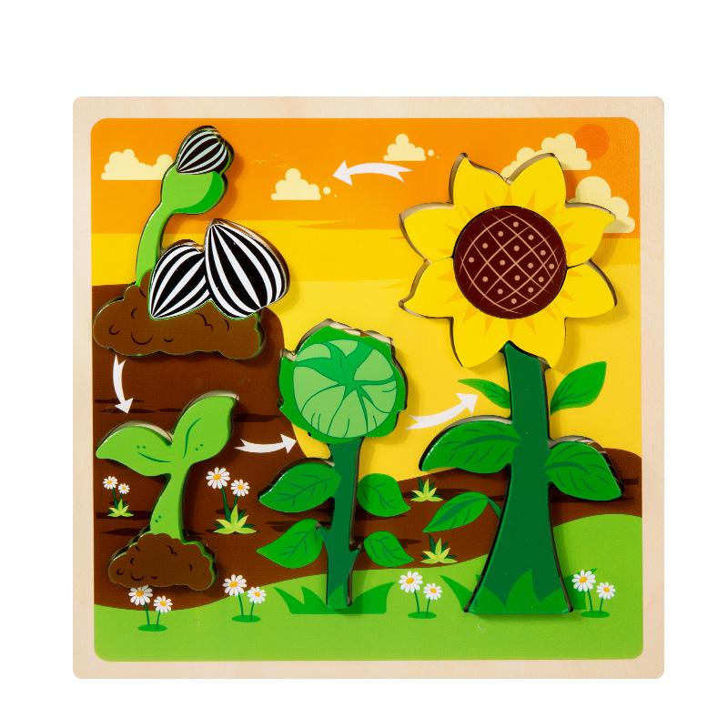 Baby Toy Wooden 3D Puzzle Toys Life Cycle Puzzle Cartoon Jigsaw For Children Baby Early Educational Intelligent Gifts for Kids