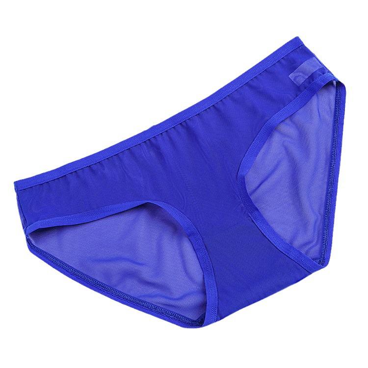 Low-Rise Transparent Mesh Triangle Panties - Hot & Sexy Japanese Cute Women's Underwear, New Seamless European & American Style (1533)