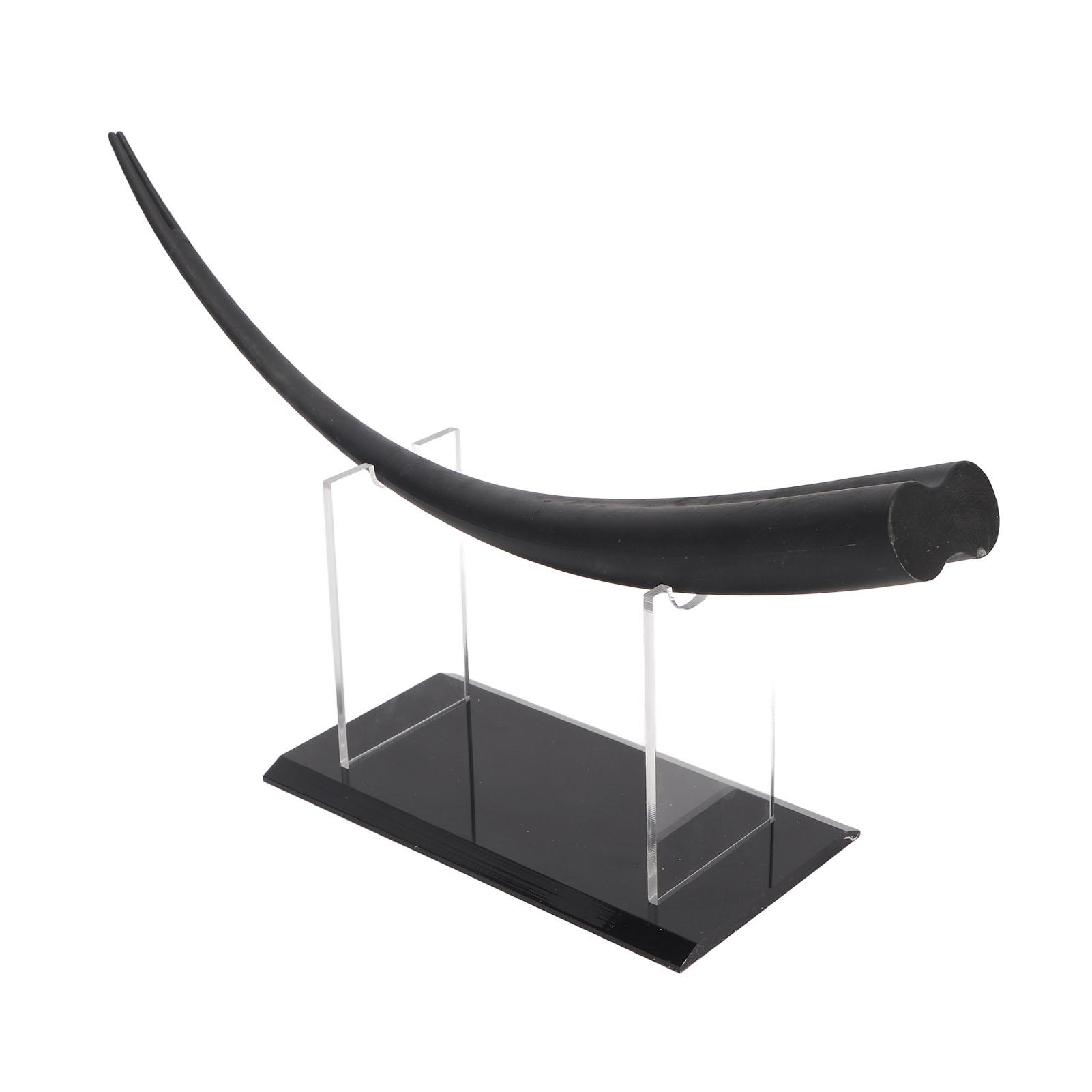 

Large Eyelash Teaching Diaplay Model Thicken Flat Buttom Double Tip Training Demonstration Tool