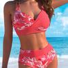Europe and America  New Hot Spring Swimsuit Women's Print Sexy Bikini Fashion Beach Vacation Swimsuit
