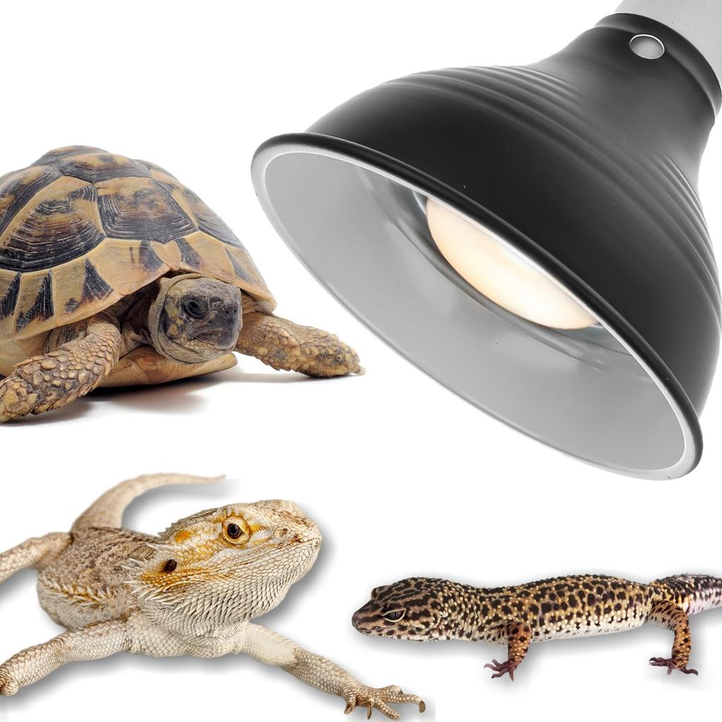 Lamp Heating Fixture For Terrarium Reptiles Amphibians Emitter Bulb Uvb E27 150W