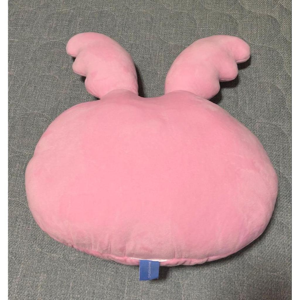 Used SEVENTEEN Jeonghan MINITEEN Tram Cushion
