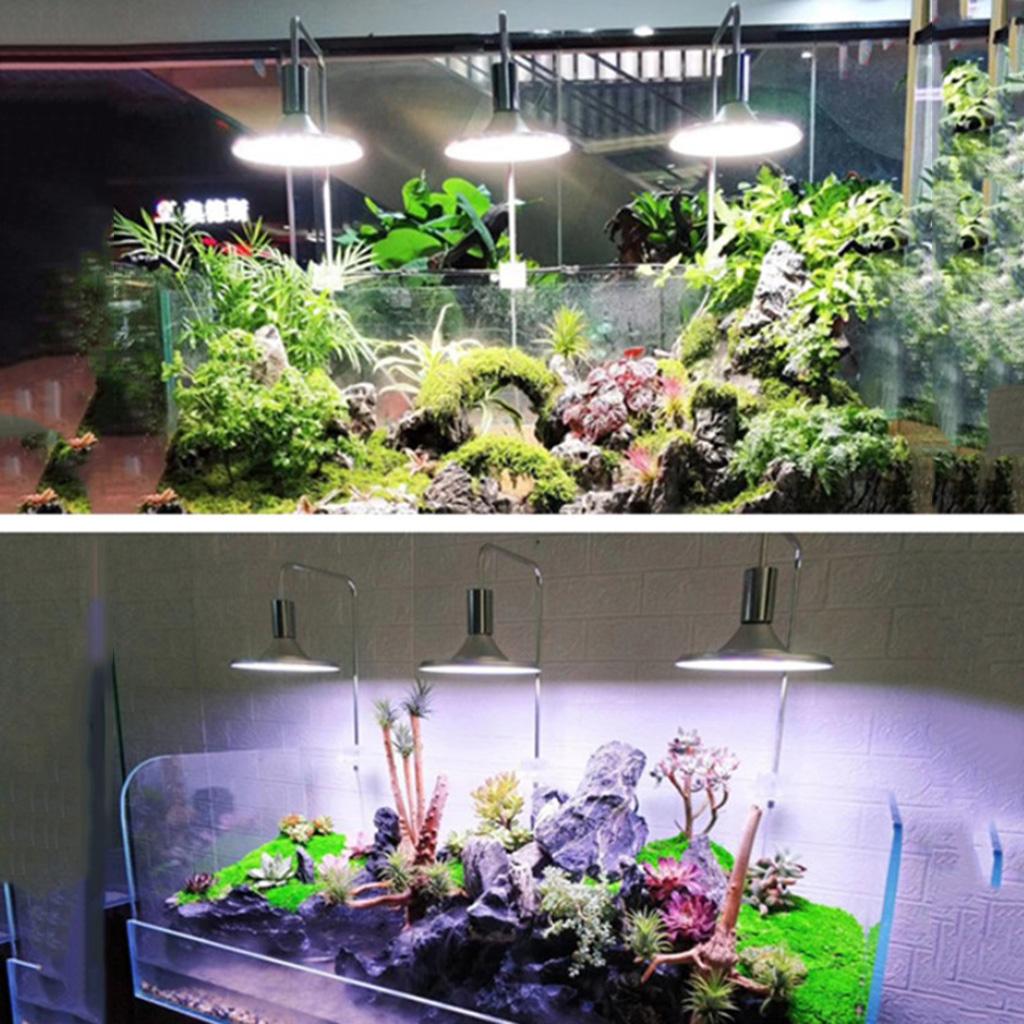 Clip On Aquarium LED Light for Water Plant Grass Growth Lighting Lamp for Turtles Reptiles FishTanks Landscape Accessory