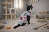 Postoperative Clothing for Cat and Dog Size Comfortable Apron Blue Cats