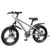 PHOENIX Kids & Teens Mountain Bike