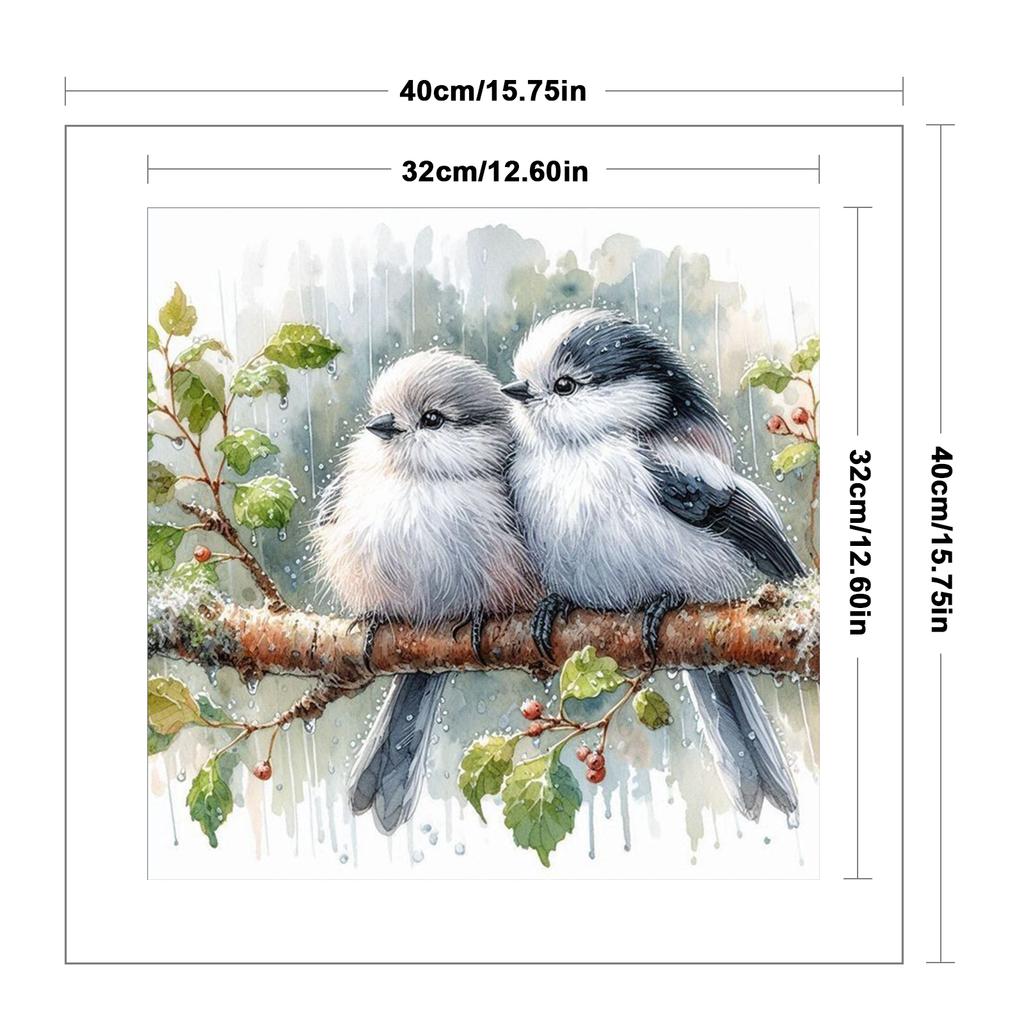 Robin Full 11CT DIY Stamped Needlework Embroidery Kit 40x40cm Printed Cross-Stitch Kits for Beginners Adults Home Decor