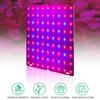 LED Plant Grow Lights for Indoor Plants Full Spectrum 12W Panel Plant Growing Lamp