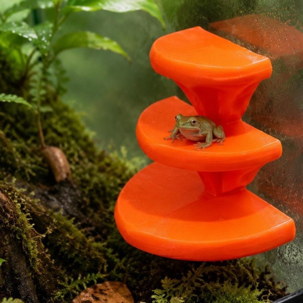 Suction Cup Three Layer Mushroom Rack No-Drill Jumping Spider Platform  Jumping Spider Enclosure