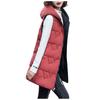 Women's Fashion  And Winter Vest Double-Sided Down Down Padded Jacket