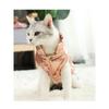 Winter Pet Dog Down Coat Fleece Warm Inside Candy Color Pet Down Warm Coat Puppy Down Clothes Winter Clothes Clothing XS-3XL