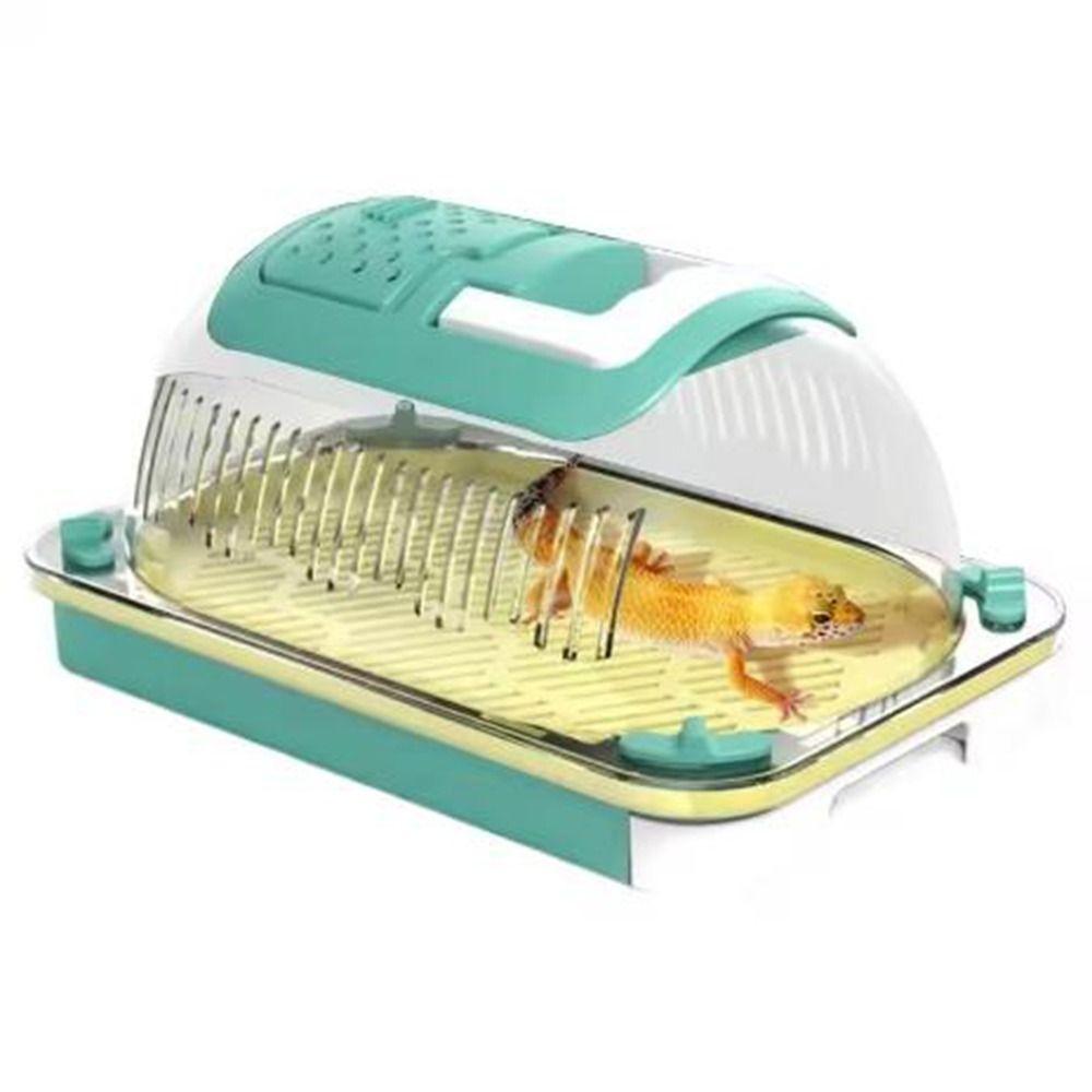

Wear-Resistant Insect Feeding Cage Breathable Reptile Breeding Box Lizard Keeper Spiders S зелений