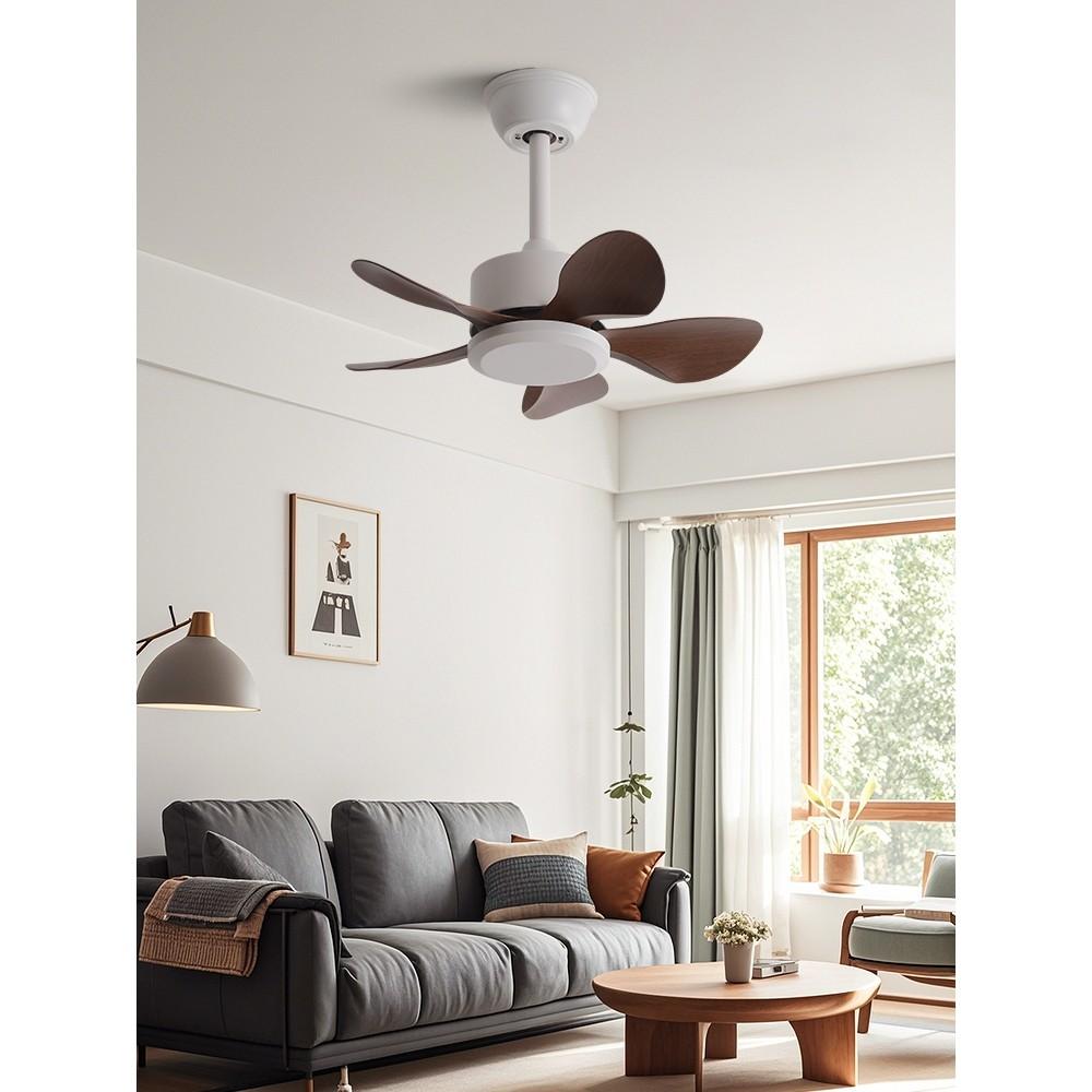 22" 3/5 Blades & LED Lighting Fan Silent DC Motor & Energy Saving Fan Household Electric Ceiling Fan with Hook