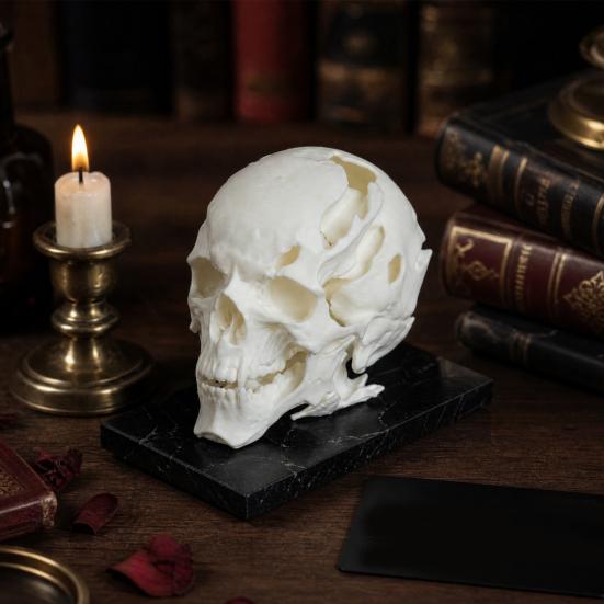 Halloween Totenkopf Schmuckstück, Außerirdischer Totenkopf Form Figur aus Kunstharz, Realistische Knochen Detail Skulptur Tischdeko Party Dekoration