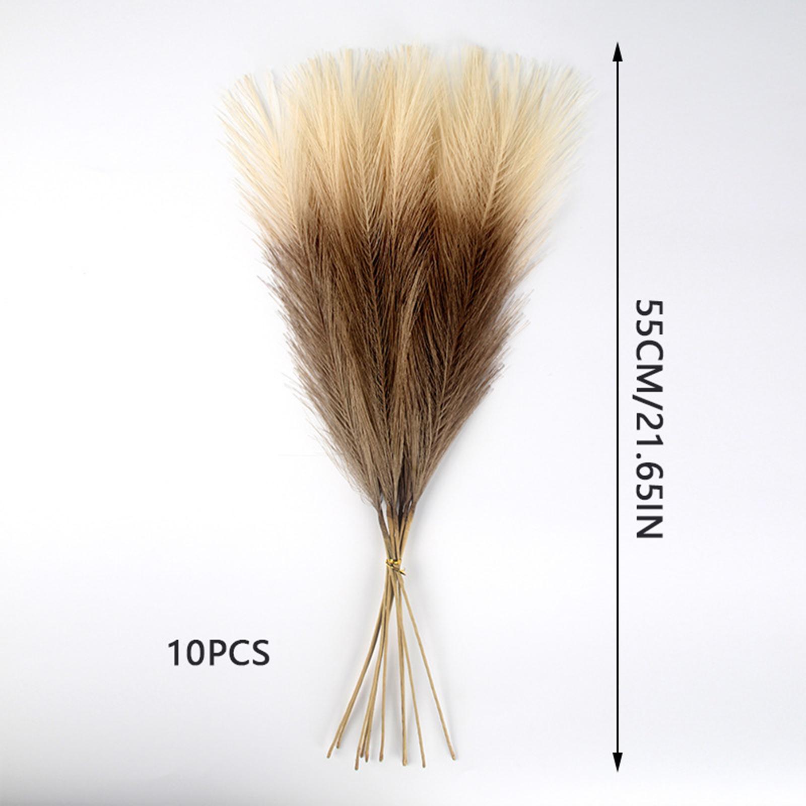 

Wedding Decorations, 55cm Pampas Grass, 10pcs, Bohemian Preserved Flower Artificial Reeds, Simulated Reeds one size