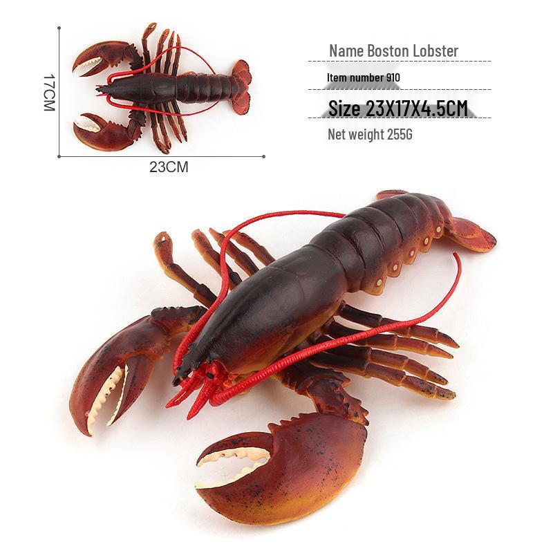 Realistic Australian Boston Lobster Marine Animal Model Toy - 4 Styles