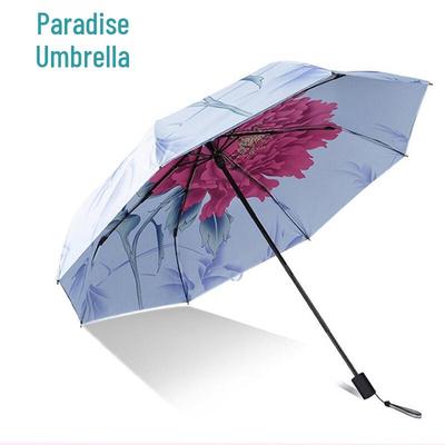 Accesorios – Paraguas