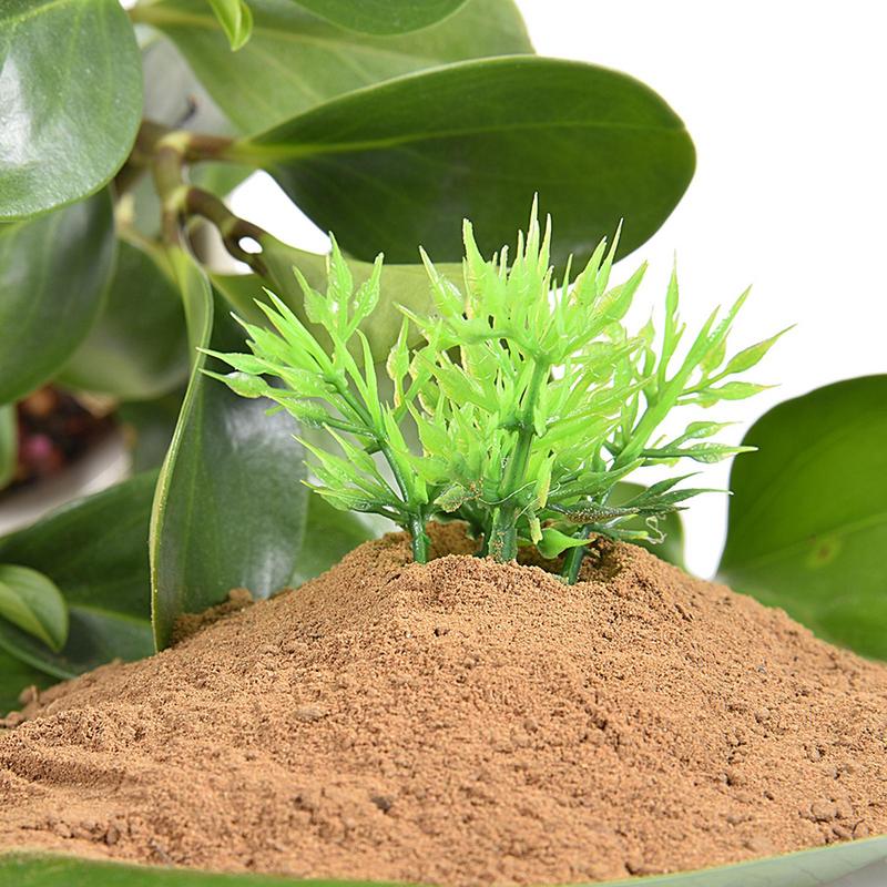 200g Fango di Fiume Stagno Fango Fiori di Loto Stagno Fango Fiore Fertilizzante Ciotola Loto Loto d'Acqua Piante Acquatiche Speciali Terreno Nutriente