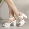 Fashion Fashion 2025 Buckle Strap Women's Sandals New Shallow Office and Career Summer Open Toe Plus Size Best Seller Heeled Sandals