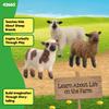 Schleich Farm World Sheep Friends 42660