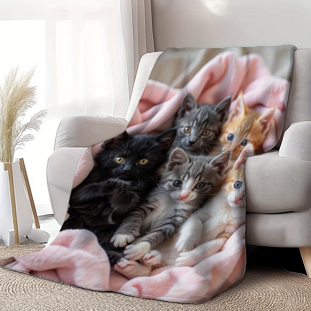 Cute Kitten Fleece Blanket Adorable Cats In Pink Blanket Soft Cozy Throw Home Decor for Living Room or Bedroom Gift for Cat