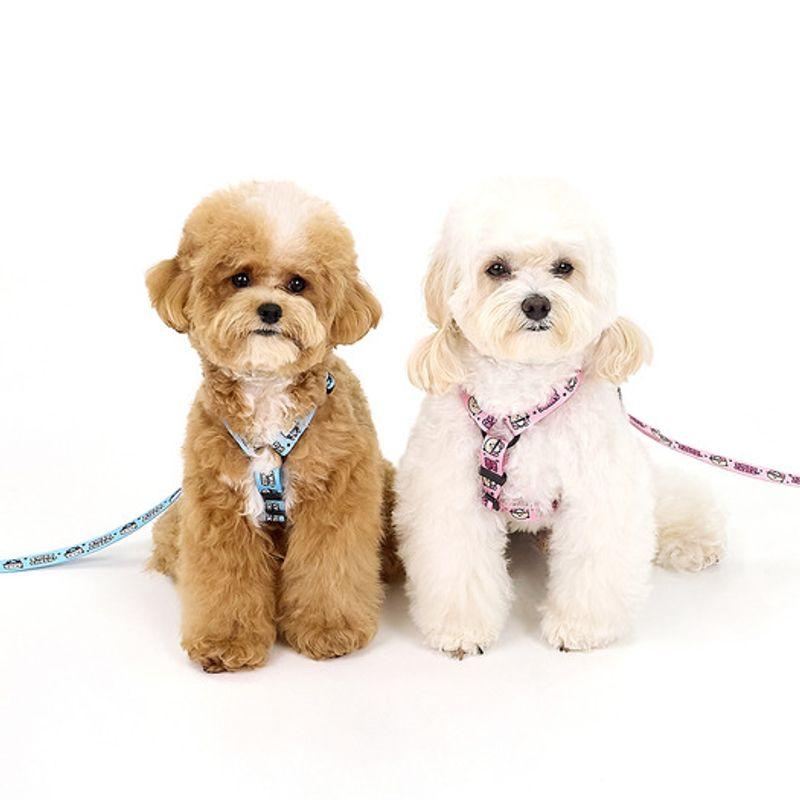 KINIKINI [Kinikini X Up Up] SWAG CHICHI LEASH-BLUE (Leash)