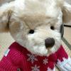 [USED] Excellent condition Harrods Teddy Bear Christmas Year Bear 2008 Limited Edition