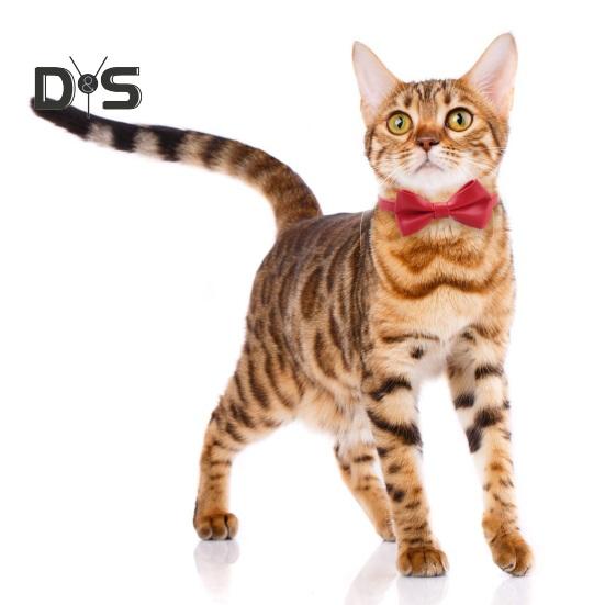 Cat Collar Adjustable Faux Leather Bowtie Pet Collar for Kitten Cats And Puppy Graduation Wedding Birthday Pet Party Collar with Copper Bell