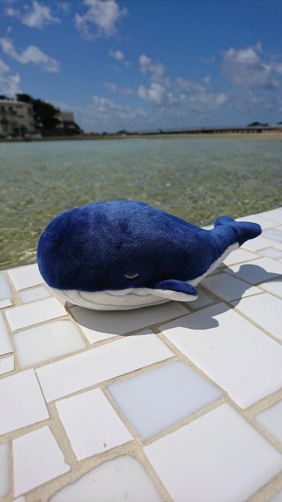 Livheart Mascot Marshmallow Animal Kanaloa the Whale length Fluffy and Squishy (Total approx. 14cm) 48657-63