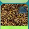 Chinese Medicine Ma Huang  Chhepat, Khanta, ,Ephedra,Somlata Gerardiana 250g