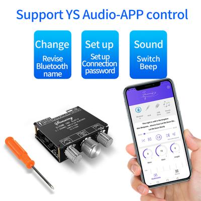 Ys-e100h 2,1 Kanal Bluetooth 5,1 Audio Power Verstärker Bord High Low Tone Subwoofer