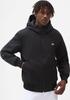 Demiseason Jacket Dickies New Sarpy Jacket (DK0A4XG8) Black