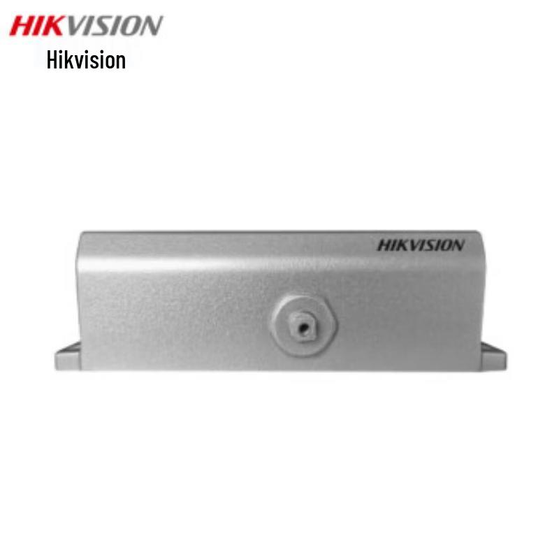 Hikvision DS-K4DC804E Door Closer