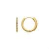 Luxenter Ariuk Earrings and 18k Gold Plated